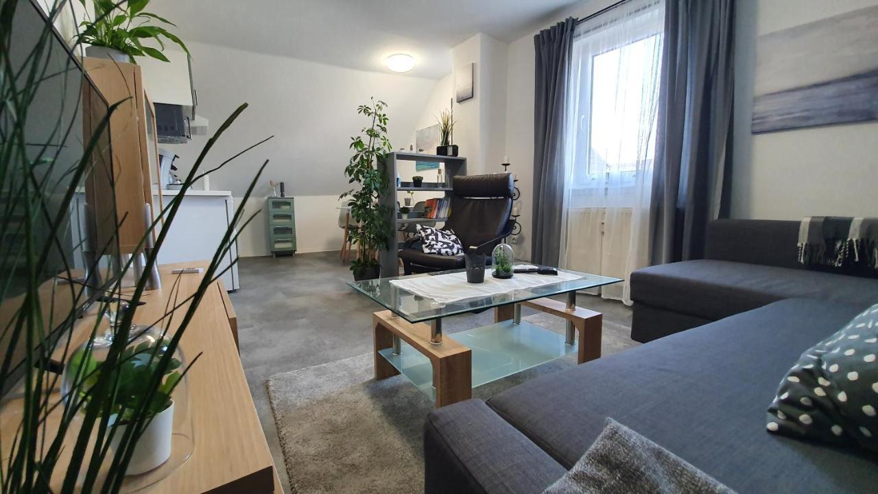 Hungen Ferienwohnung Elsa מראה חיצוני תמונה